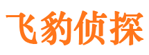 会东市侦探公司